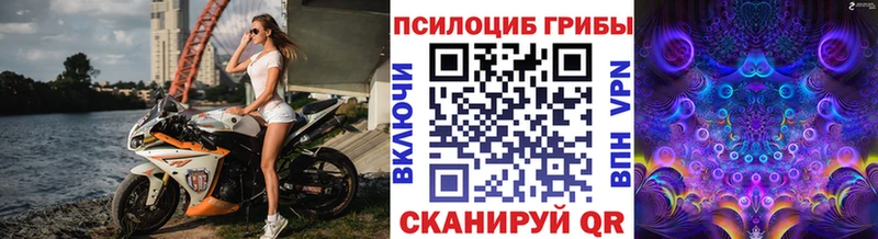 Галлюциногенные грибы GOLDEN TEACHER  Мензелинск 